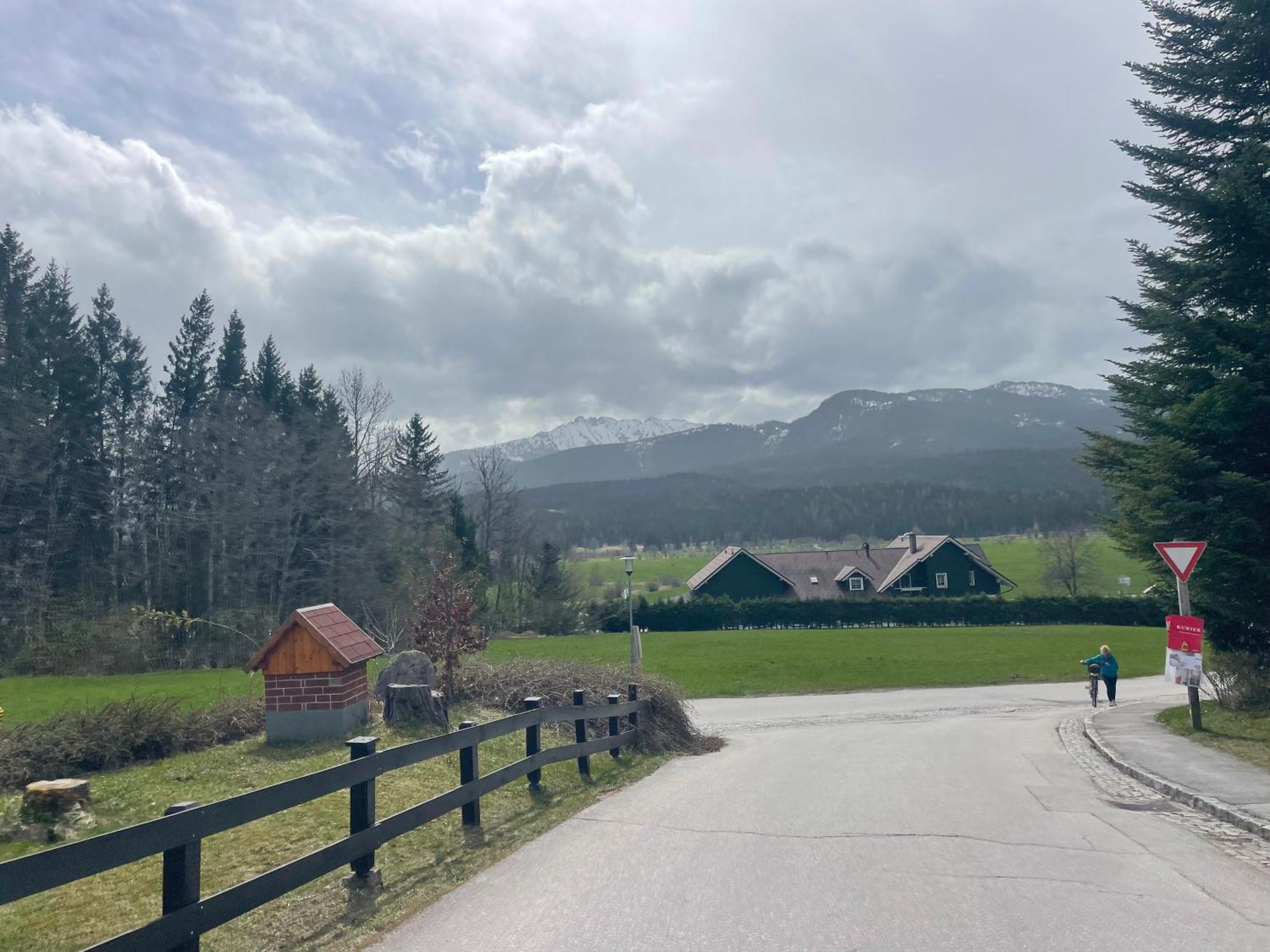Katarina'S Cozy Bungalov Bad Mitterndorf Eksteriør billede